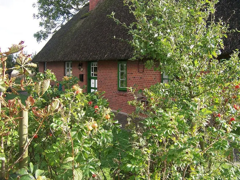 Thatched Roof House Kehl - Image 1