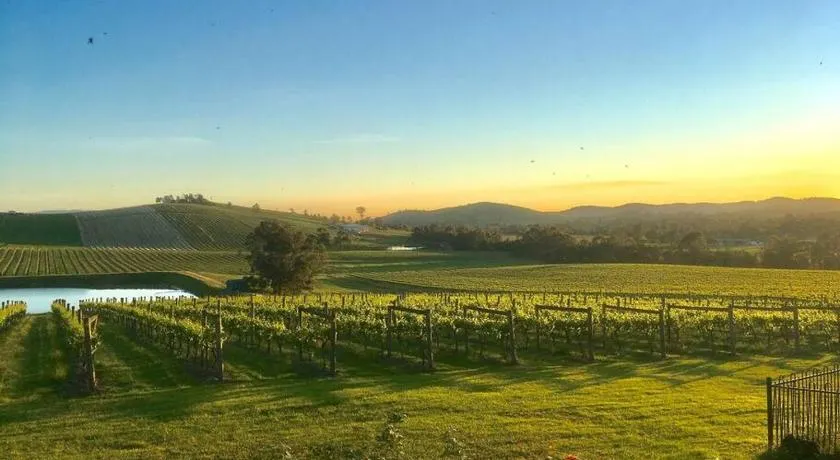 Mount Hope Estate Vineyard - Image 1