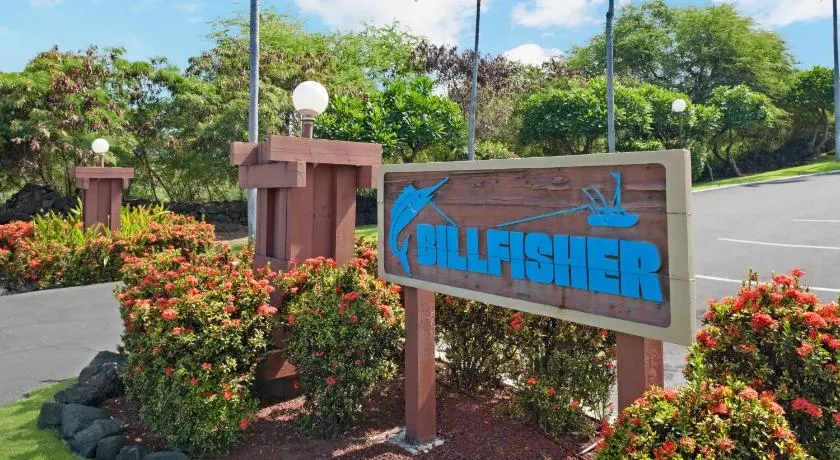 The Kona Billfisher - Image 1