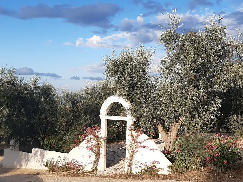 HMO Glamping & Suites in Vignanotica - Image 1