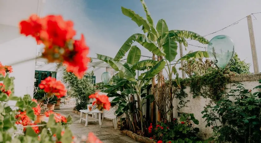 Masseria Agriturismo Il Sorriso Degli Ulivi - Dimora di Charme - Image 1