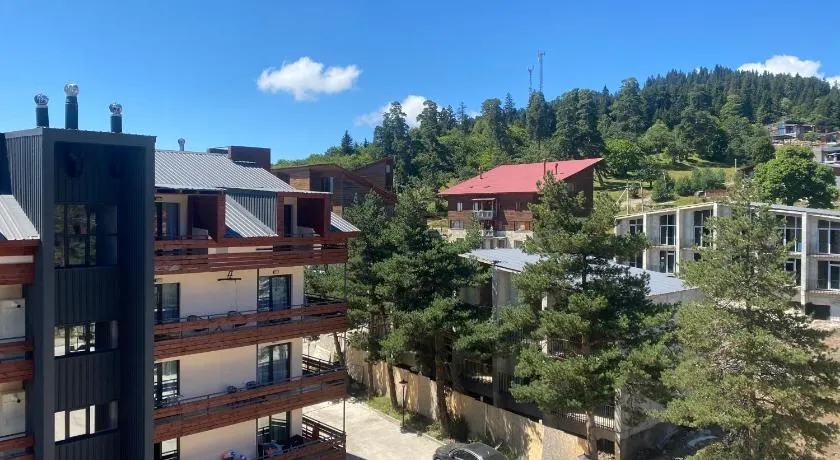 Bakuriani inn Apartment - Image 1