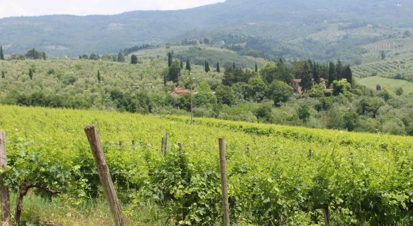 La Cascianella - Image 1
