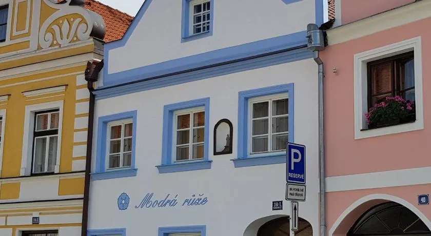 Modrá růže Třeboň - Image 1