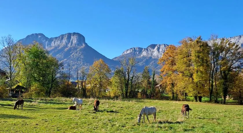 L'Appart des Grands Prés à Doussard entre Lac et Montagnes - Image 1