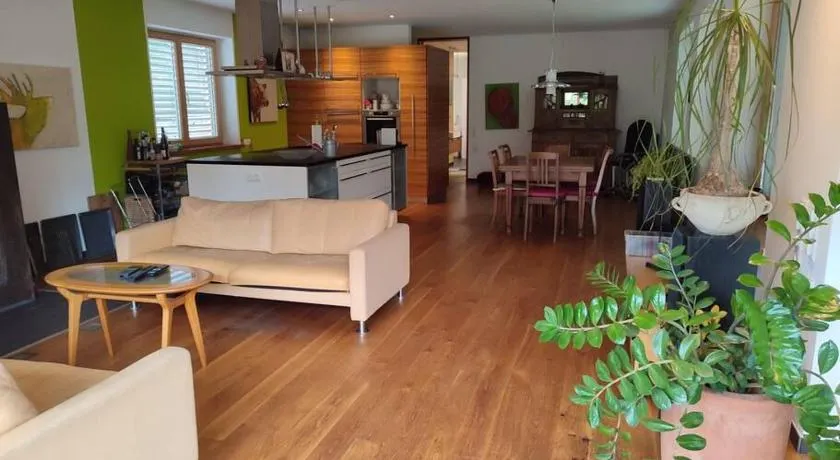 Loft mit Kamin und Whirlpool - Image 1