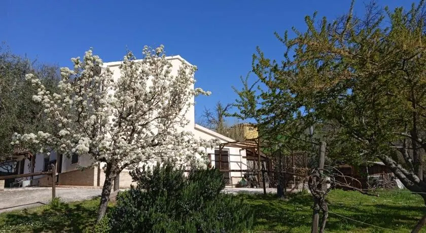 Sotto l'Ulivo - Image 1