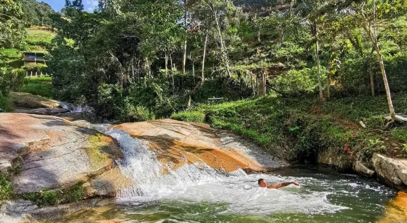 Pura vida alojamiento - Image 1