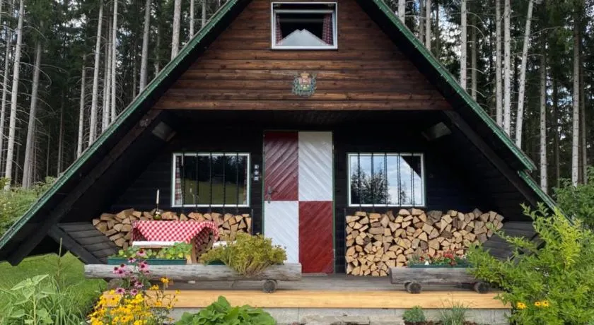 Berghütte Waldheimat - Image 1