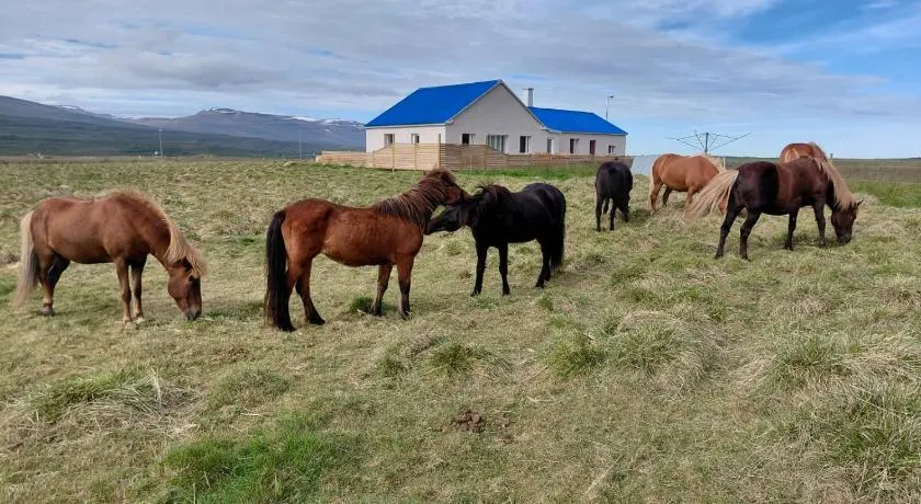 Árbakki-Guesthouse near Egilsstaðir - Image 1