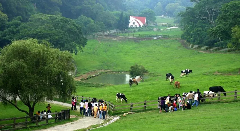 Flying Cow Ranch - Image 1