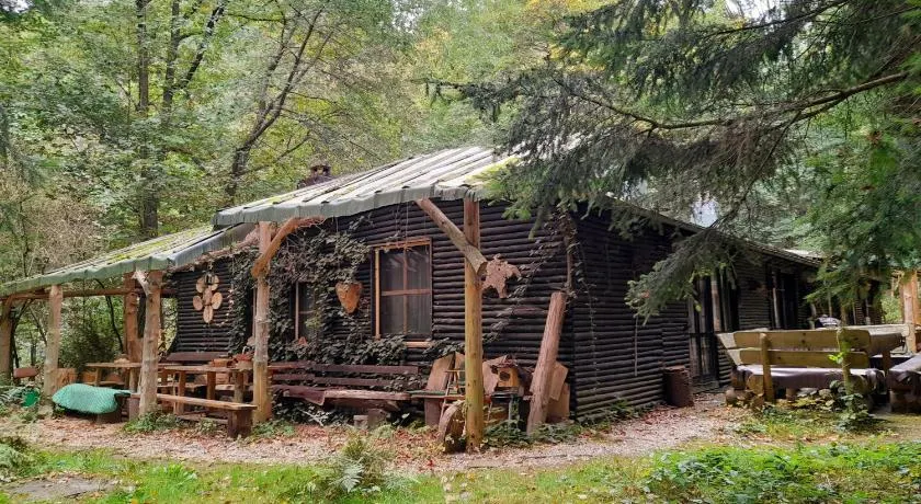 Das wilde Auwaldhaus - Image 1