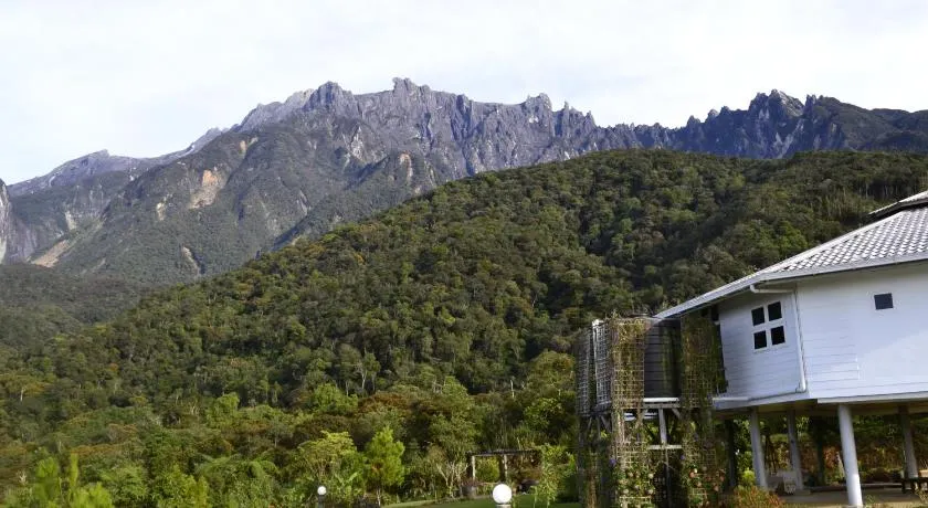 Mesilau Mountain Retreats - Image 1