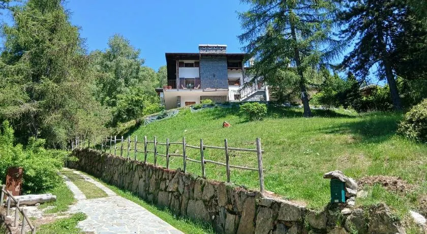 il larice d' oro - Image 1