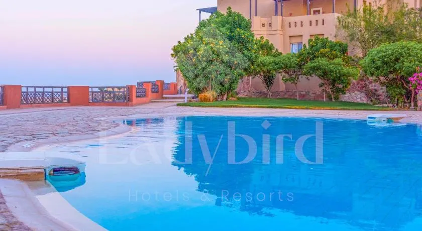 Ladybird - Azzurra Beauty - Image 1