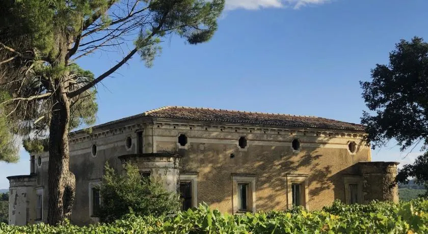 Tenute Pacelli - Azienda Agricola - Image 1