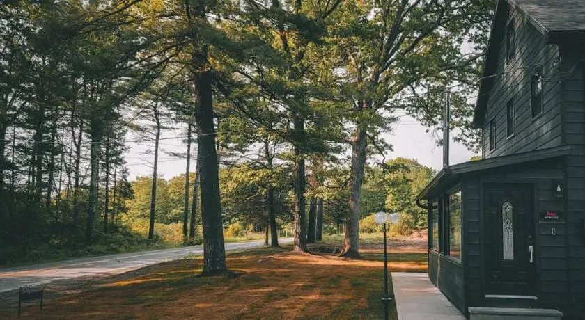 Pinewood Lodge - Catskills, Windham Mountain, Hunter Mountain - Image 1