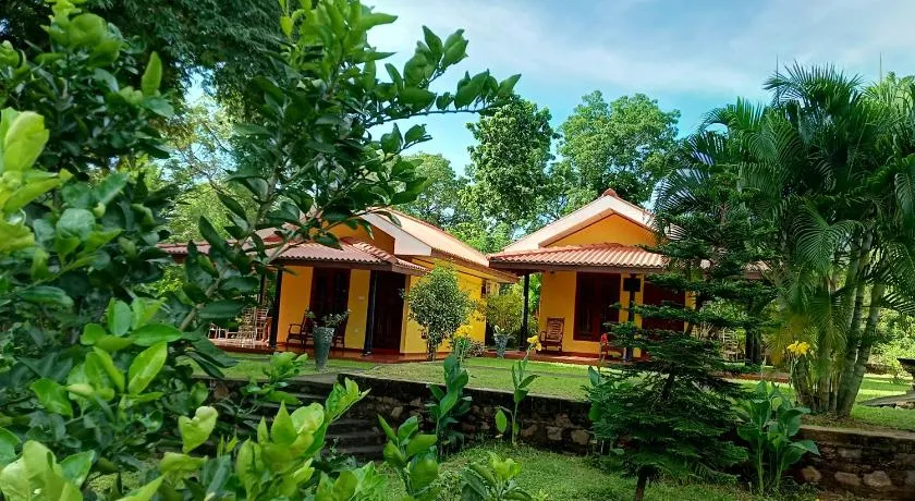 Amazon Cabanas - Image 1