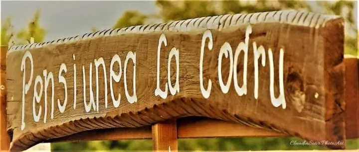 Pensiunea La Codru - Image 1