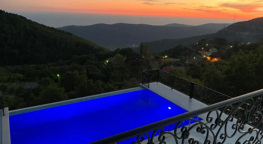 Villa WOLF-Infinity pool & Sea View - Image 1