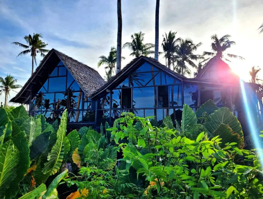 Tarzan's House - Image 1