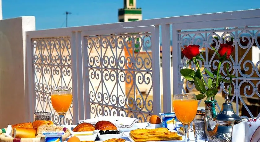 Riad Safir - Image 1
