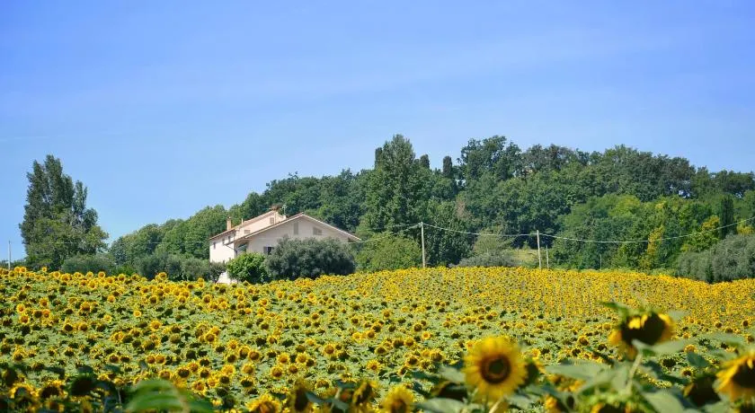 LE PIUME B&B - Image 1