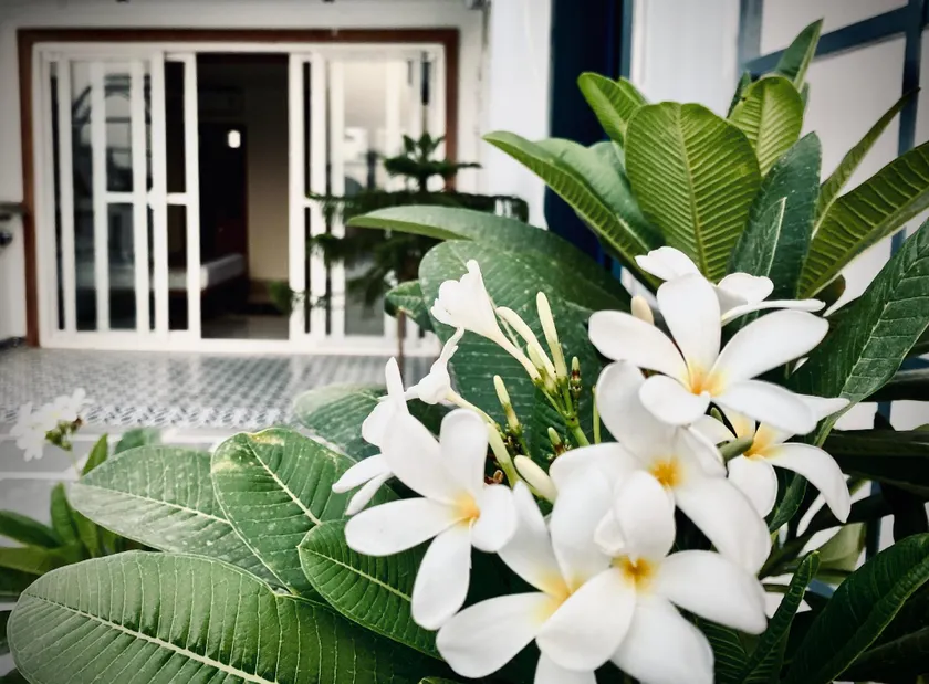 Avyam Blue Terrace Apartment - Image 1