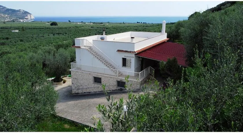 B&B Corte degli Ulivi - Image 1