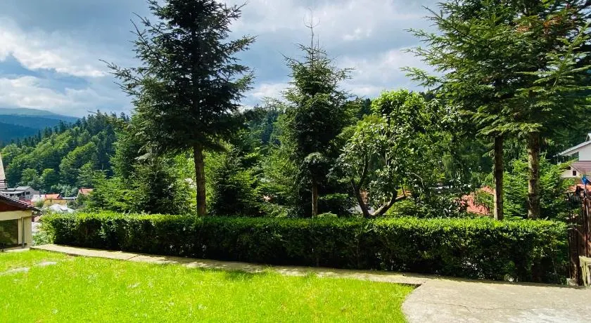 Pensiunea DEDU - Image 1