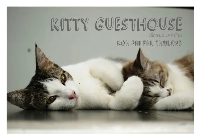 Kitty Guesthouse - Image 1