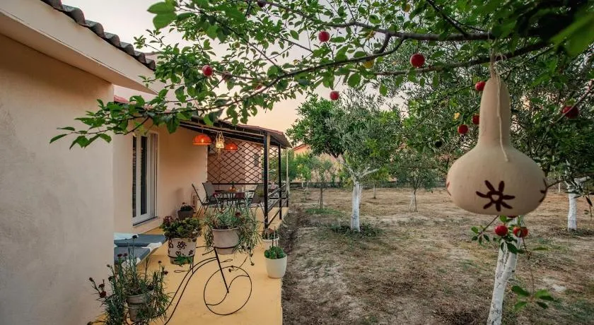 Al Mare Family Suite - Image 1