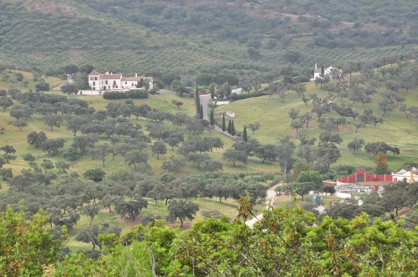 Cortijo La Rejaquera - Image 1