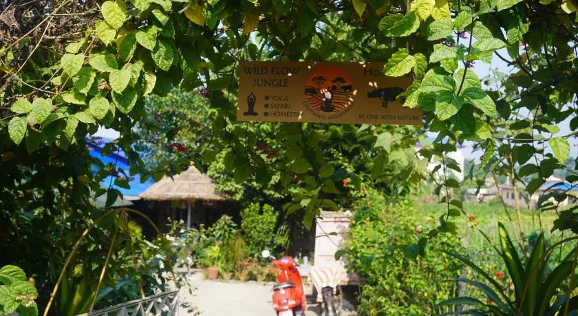 Wildflow jungle yoga safari and homestay - Image 1