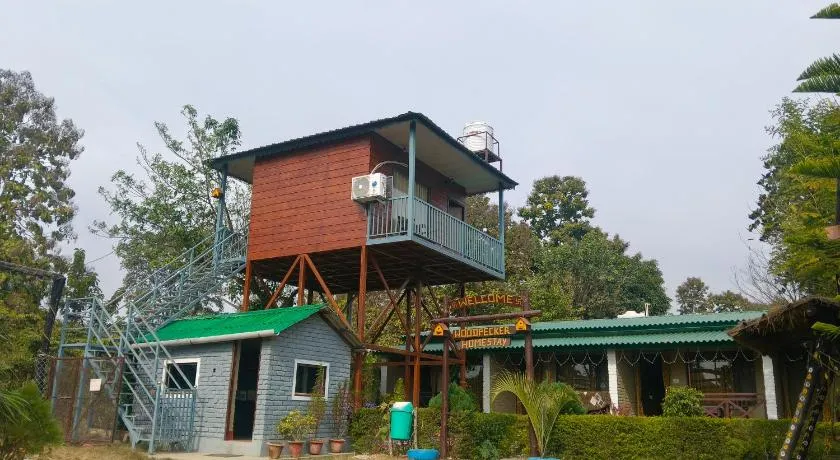 Woodpecker Homestay - Image 1