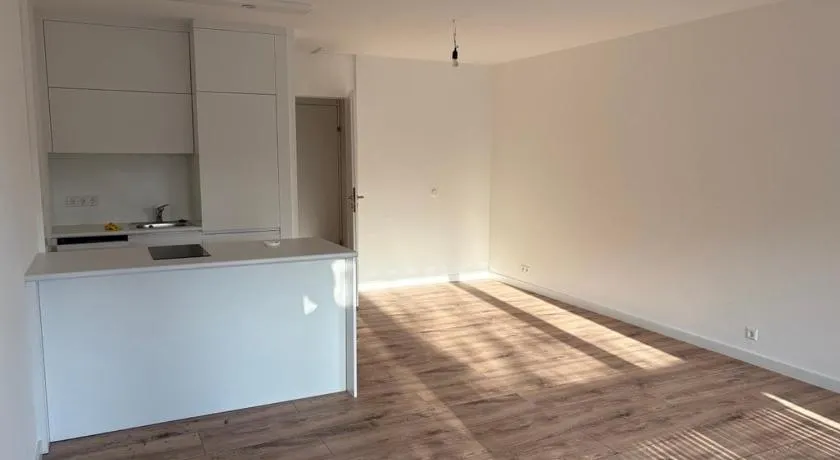 1 Single Big Room Apartment with Big Terrace, Kitchen, Sauna - Image 1