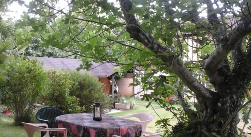 Gîte l'appel de la Forêt - Image 1