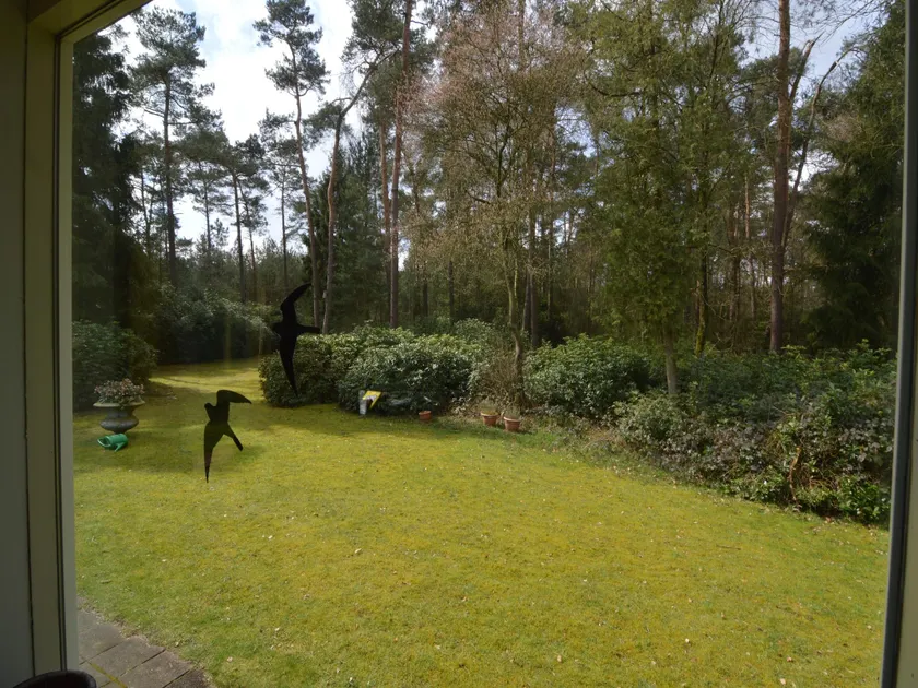 Maison à Huijbergen près de la Forêt - Image 1