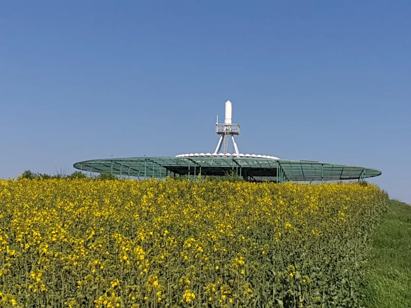 Pension Zum Adler - Image 1