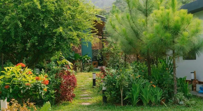 Anna Little Garden - Homestay Sóc sơn - Image 1
