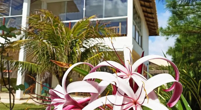 Casa do Capitao - Image 1