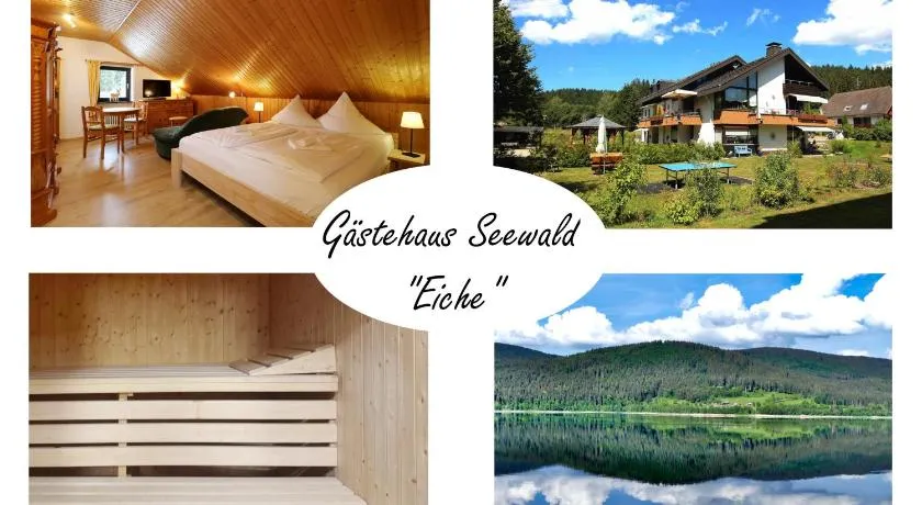 Gästehaus Seewald- Ferienwohnung 4 "Lärche", Schluchsee, Blasiwald - Image 1