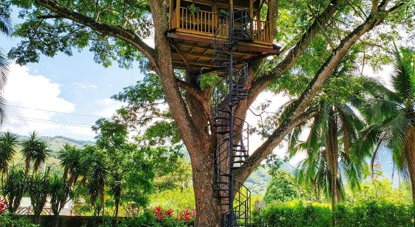 Casa en el Arbol - Image 1