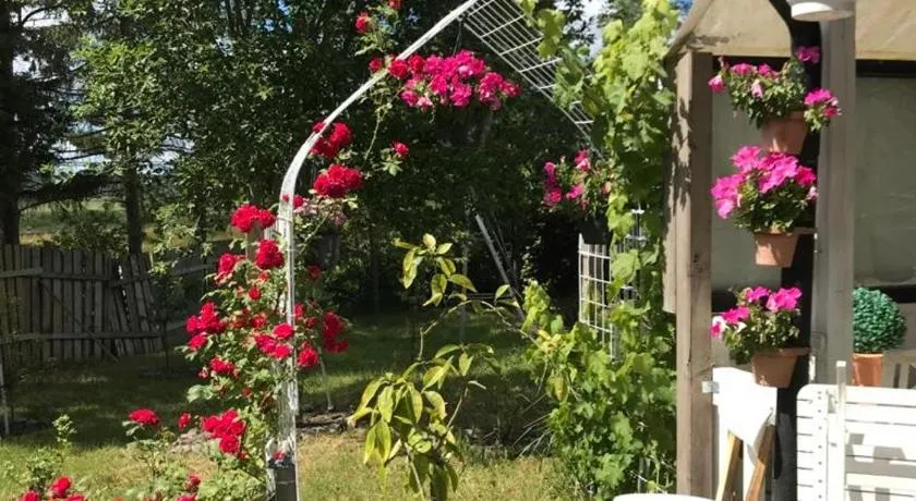 bnb mary - Image 1