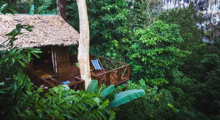 Our Jungle House - Image 1