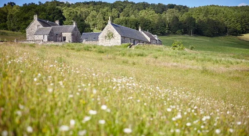 The Steading - Image 1