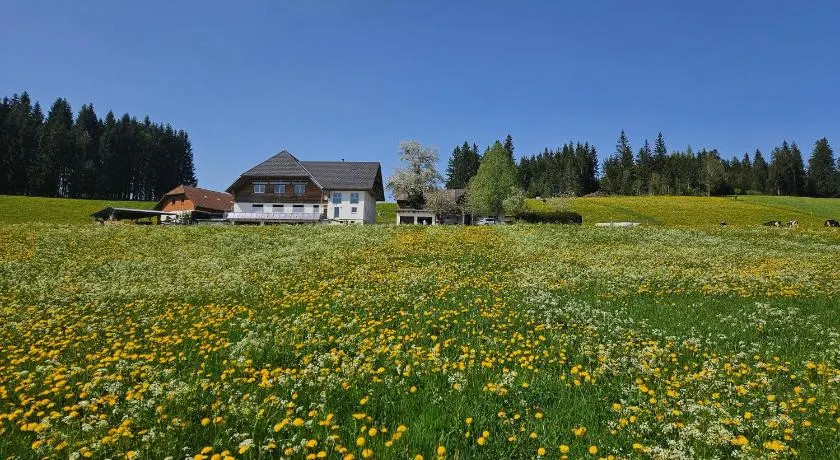Lorenzenhäusle Titisee-Neustadt - Image 1