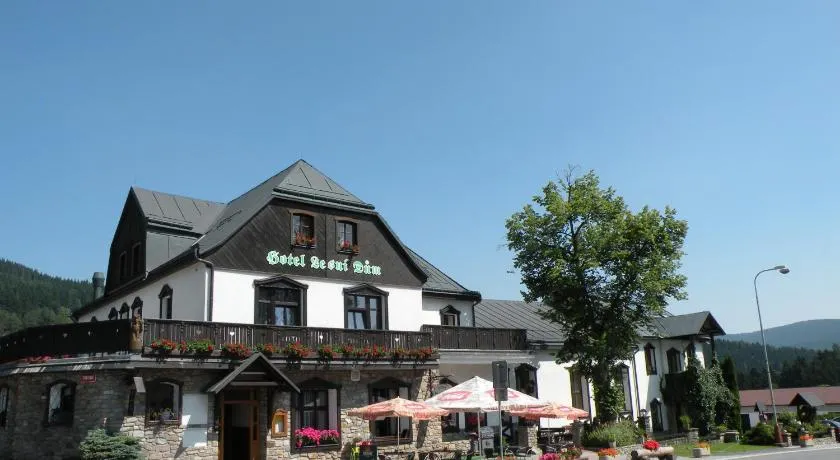 Hotel Lesní dům - Image 1