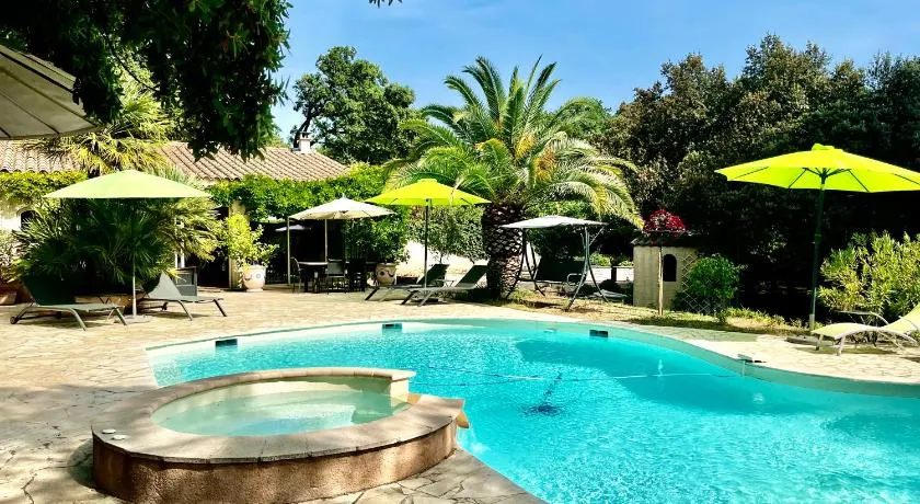 Santolines en Provence - Image 1