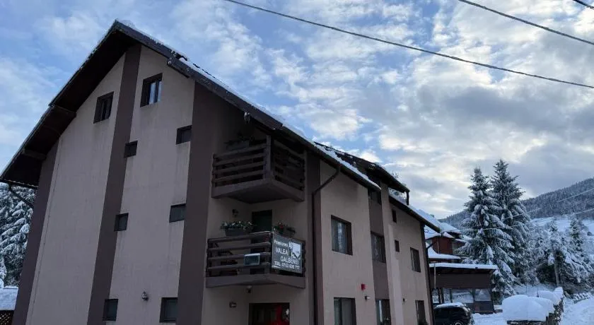 Pensiunea Valea Galbenei - Image 1